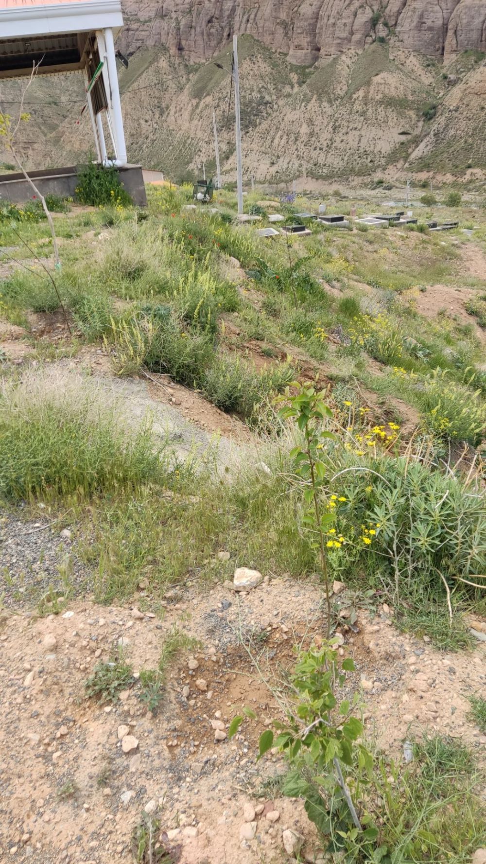 مستندات گزارش