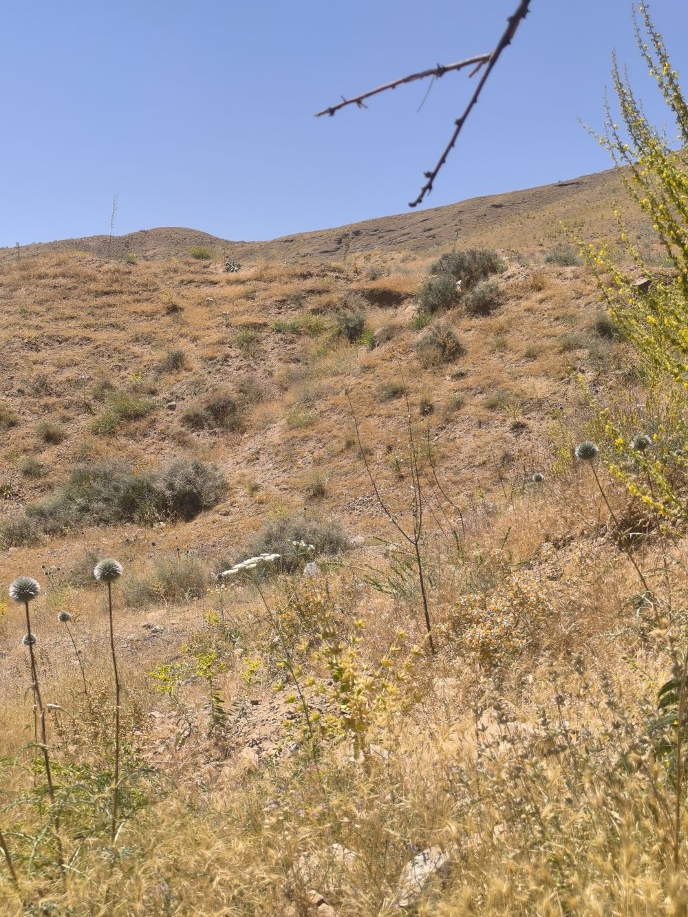 مستندات گزارش