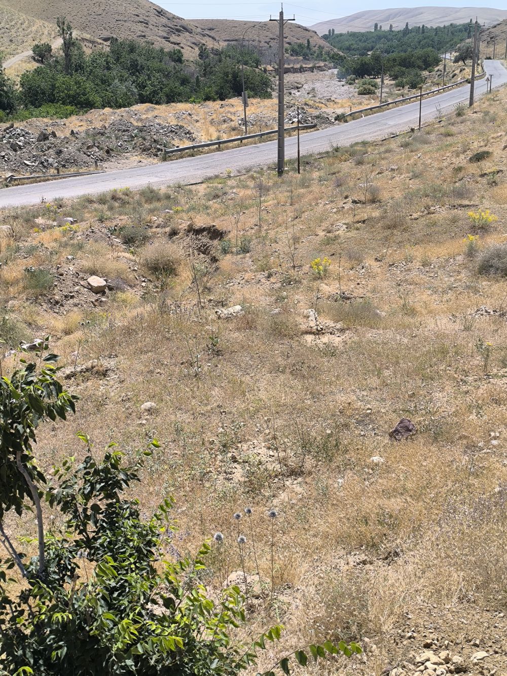 مستندات گزارش