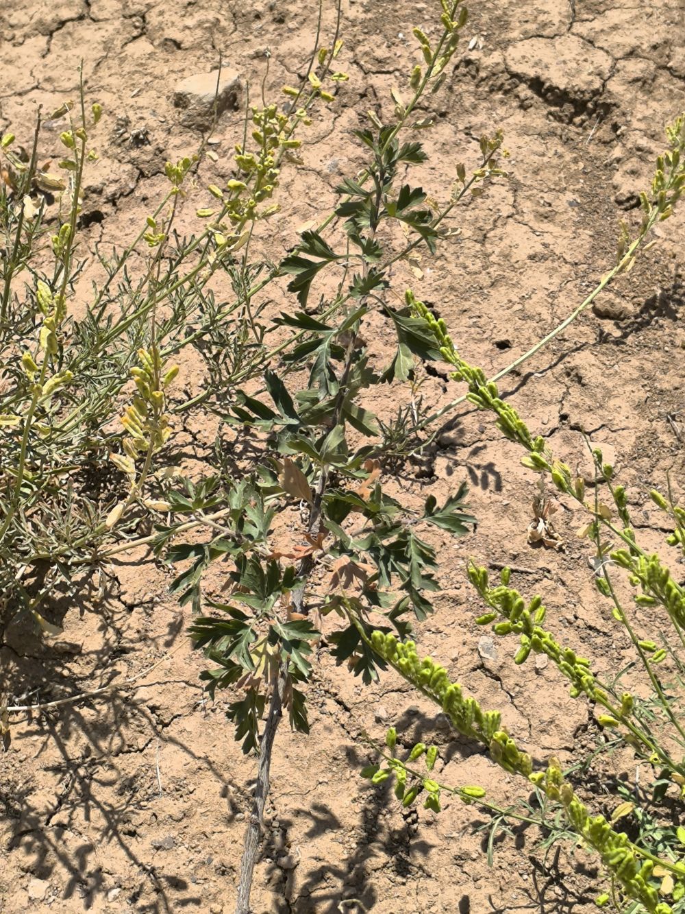 مستندات گزارش